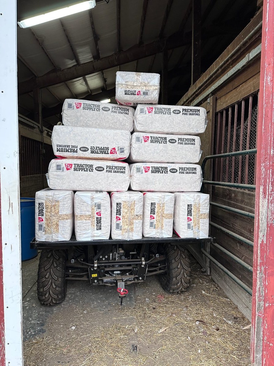 Kubota RTV utility vehicle hauling bagged shavings for horse stalls